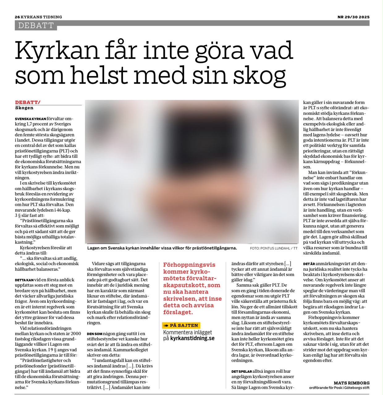 Skogsfaksimil blurrad bild